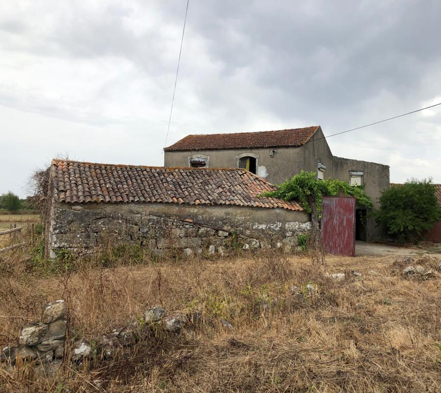 Searching for Houses in Portugal