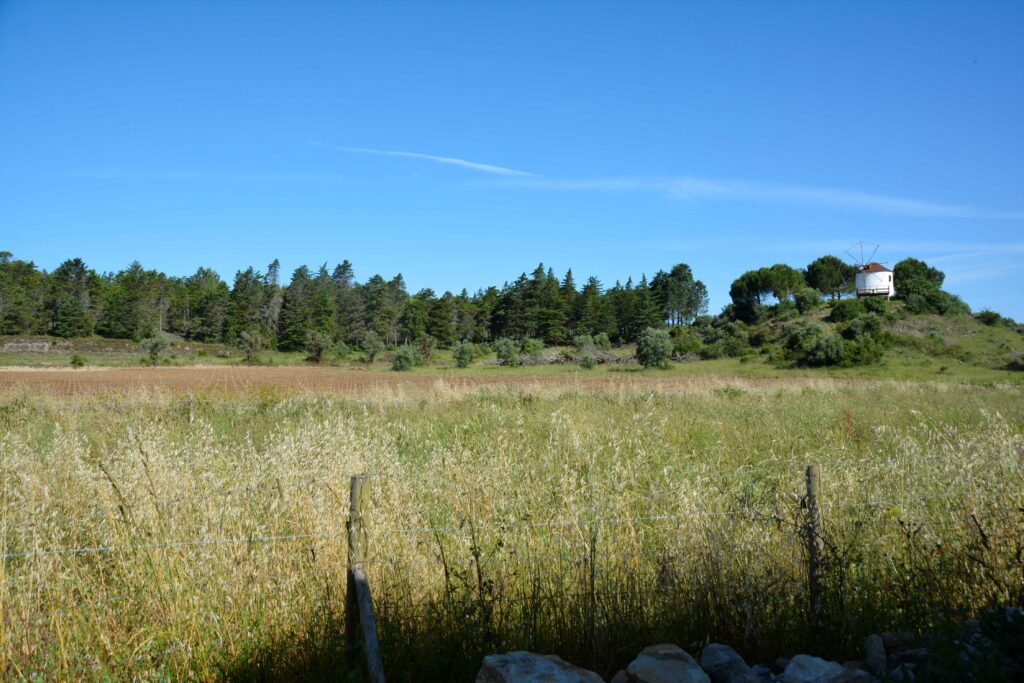 Exploring our New Village